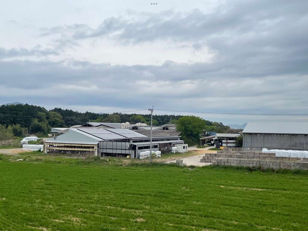 牧場スタッフ募集、肉牛飼育員